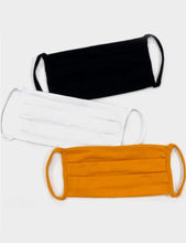 Load image into Gallery viewer, Pre-Order Solid Pleated Fashion Mask
