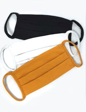 Load image into Gallery viewer, Pre-Order Solid Pleated Fashion Mask
